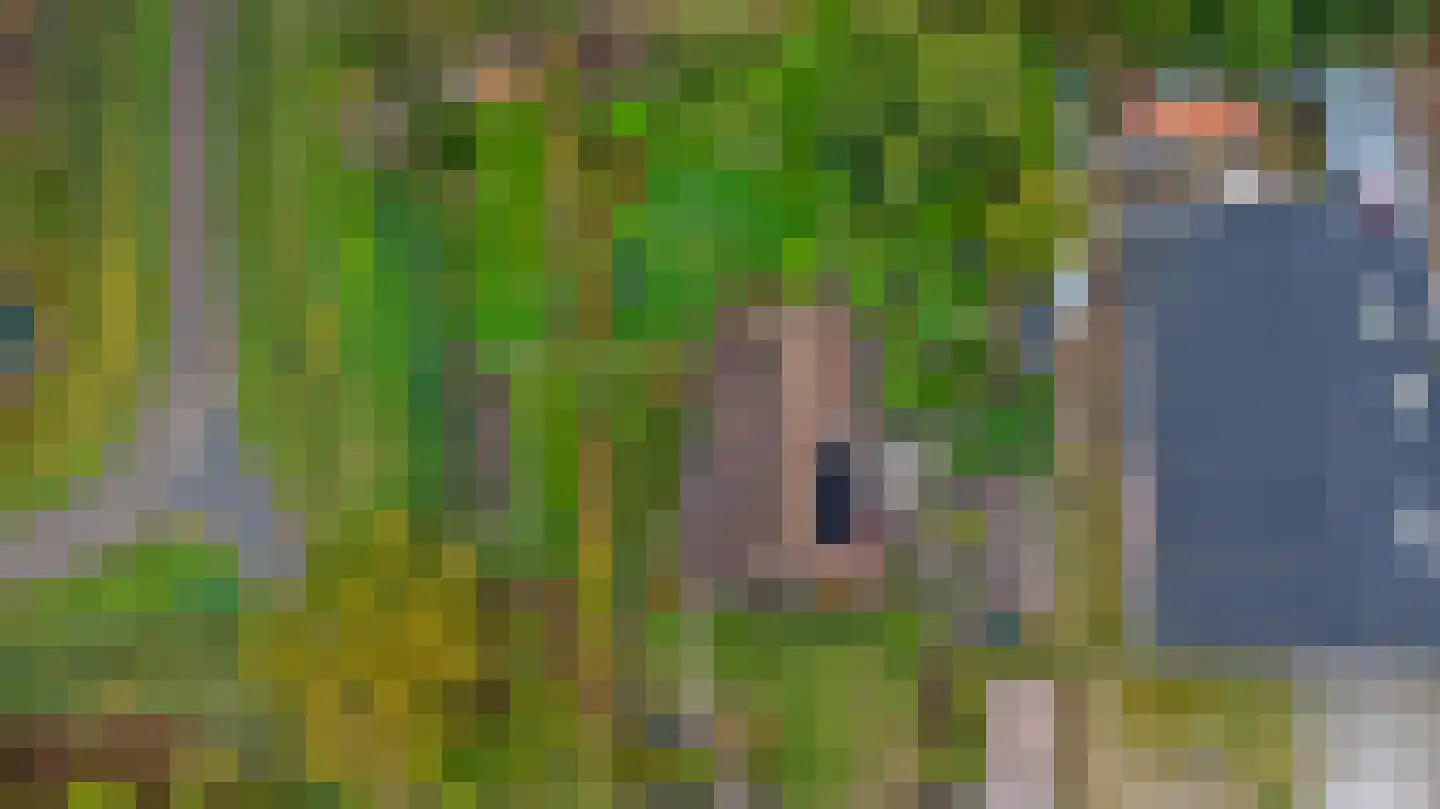 Jenny Weijermanweg 26 Goes thumbnail 78