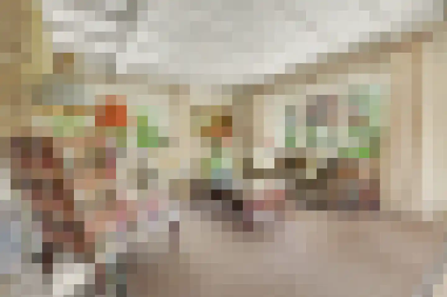 Jenny Weijermanweg 26 Goes thumbnail 8
