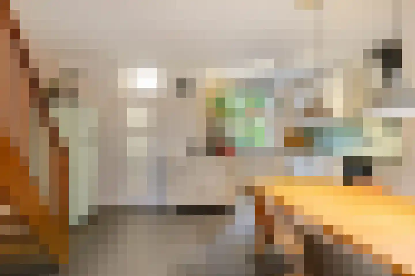 Jensemaheerd 104 Groningen thumbnail 15