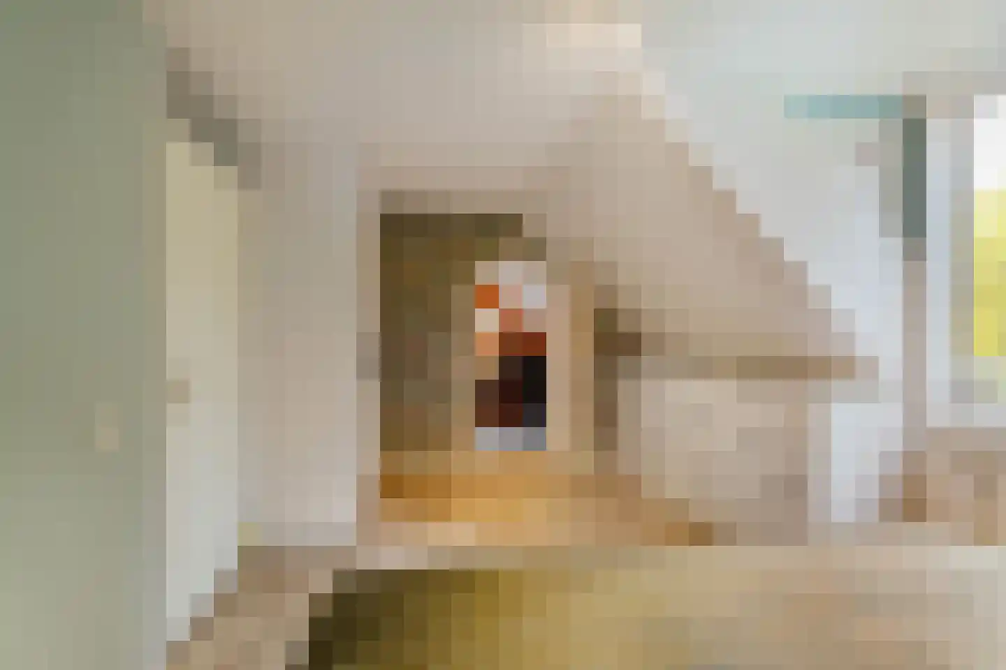 Jensemaheerd 104 Groningen thumbnail 19