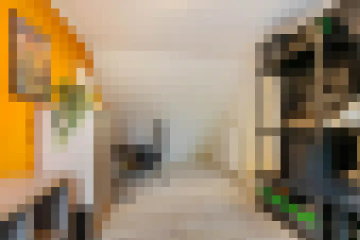 Jensemaheerd 104 Groningen thumbnail 22