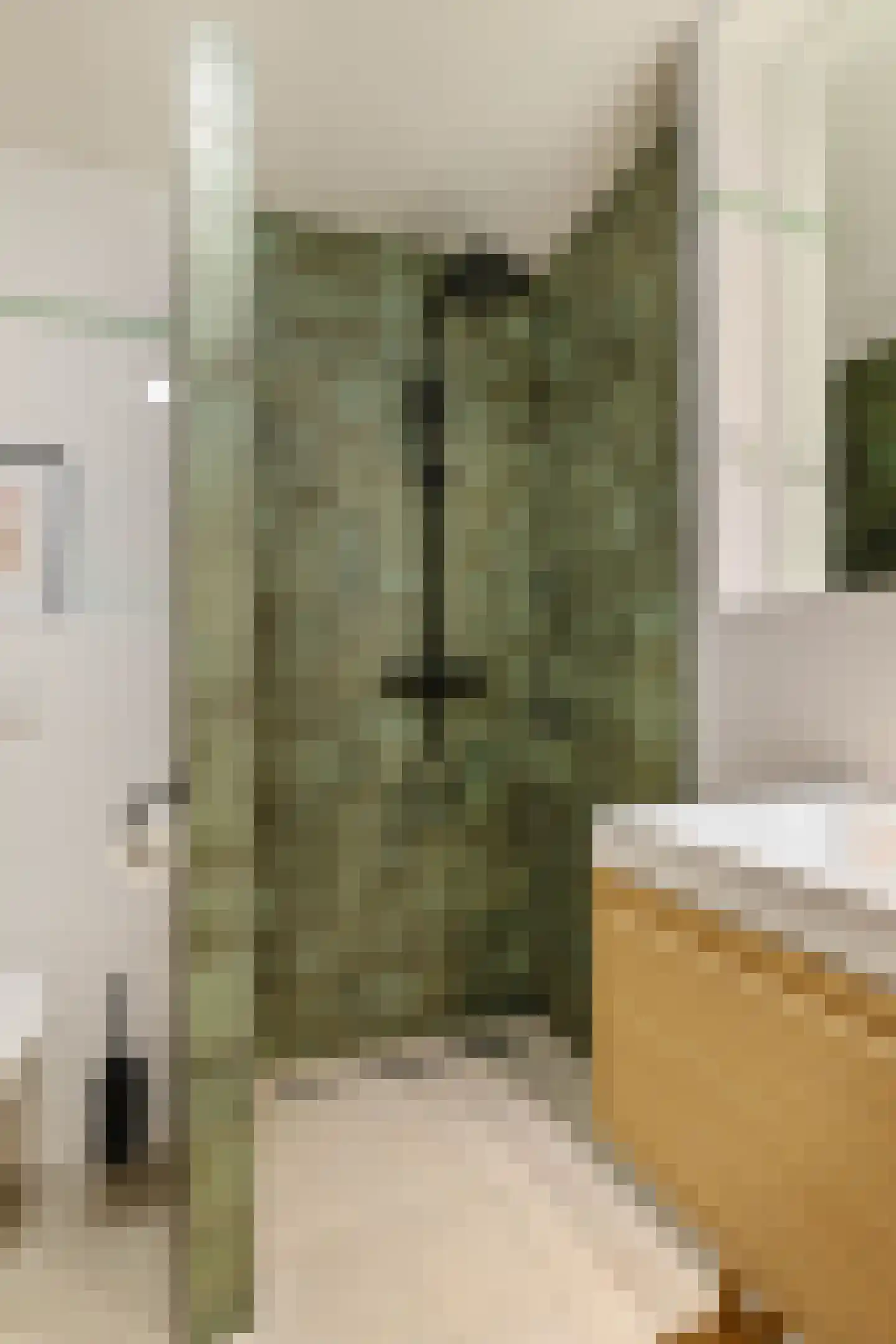 Jensemaheerd 104 Groningen thumbnail 28