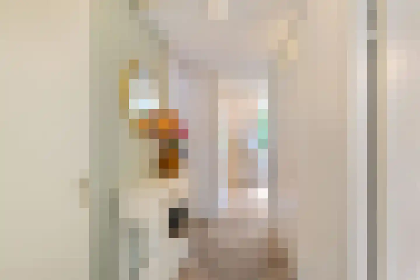 Jensemaheerd 104 Groningen thumbnail 30