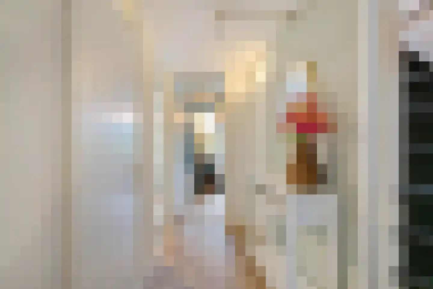 Jensemaheerd 104 Groningen thumbnail 31