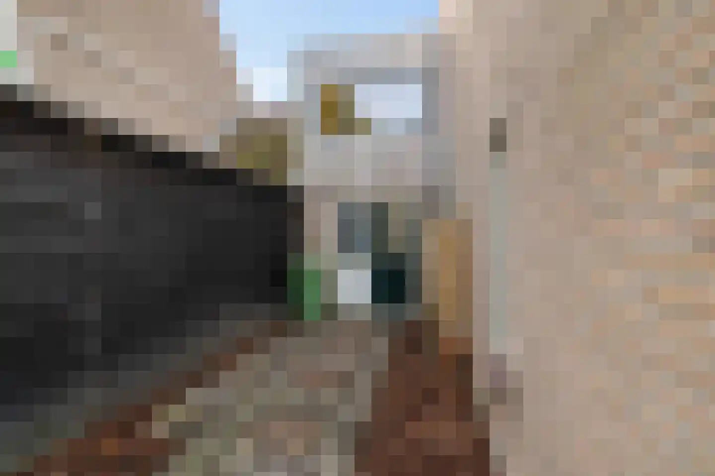 Jensemaheerd 104 Groningen thumbnail 38
