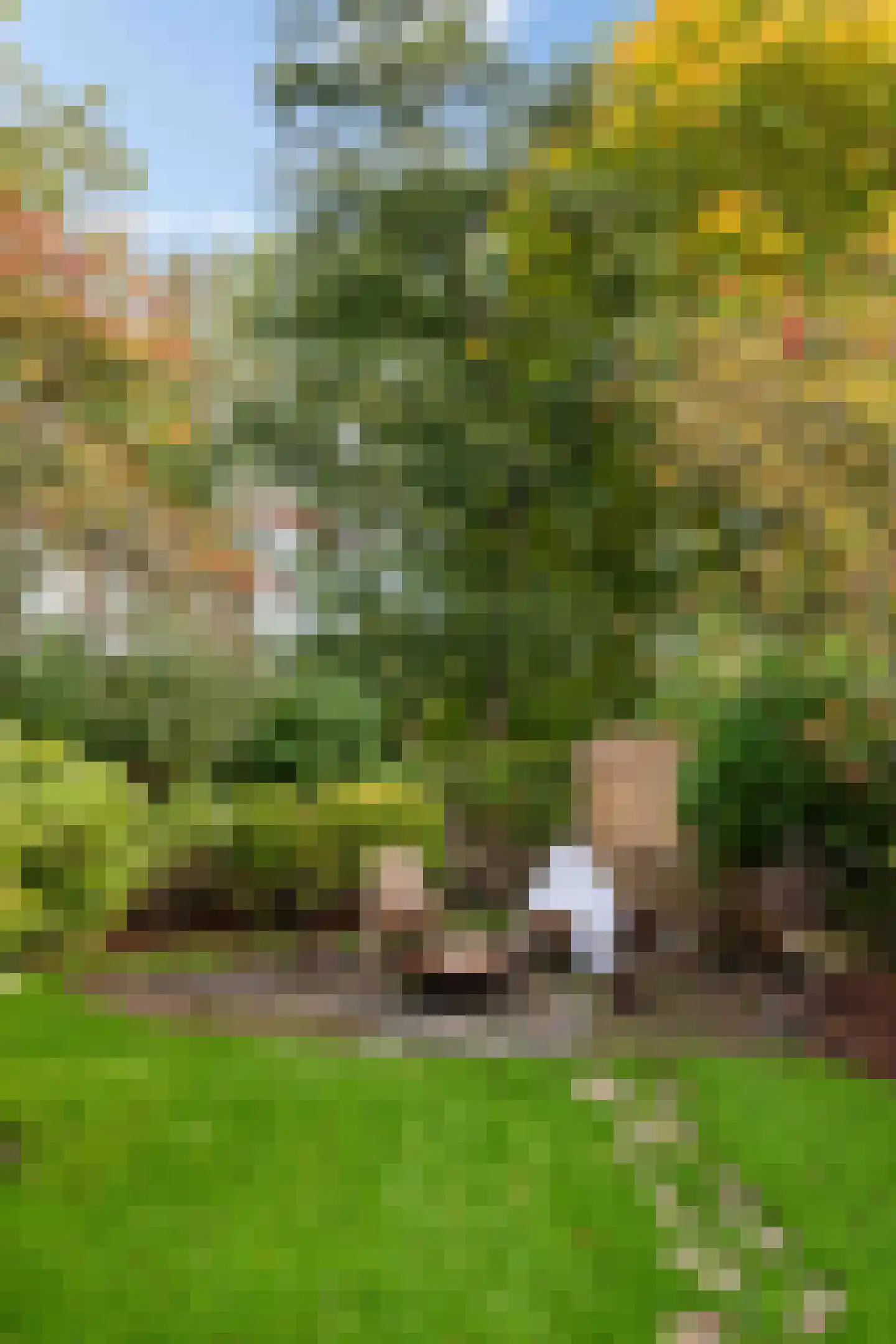 Jensemaheerd 104 Groningen thumbnail 40