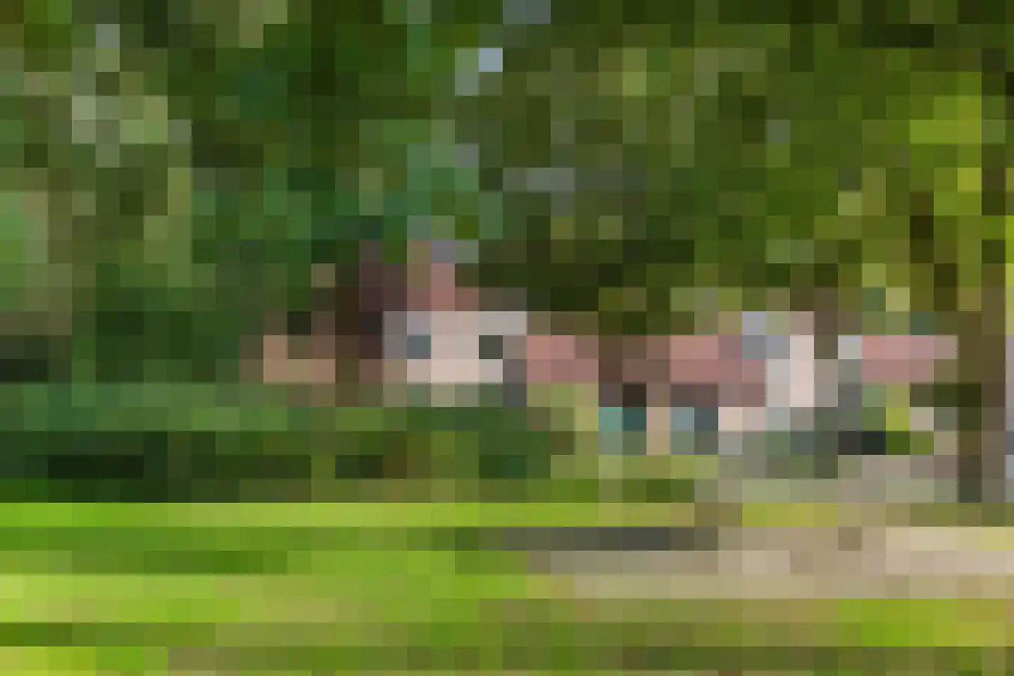 Jensemaheerd 104 Groningen thumbnail 41