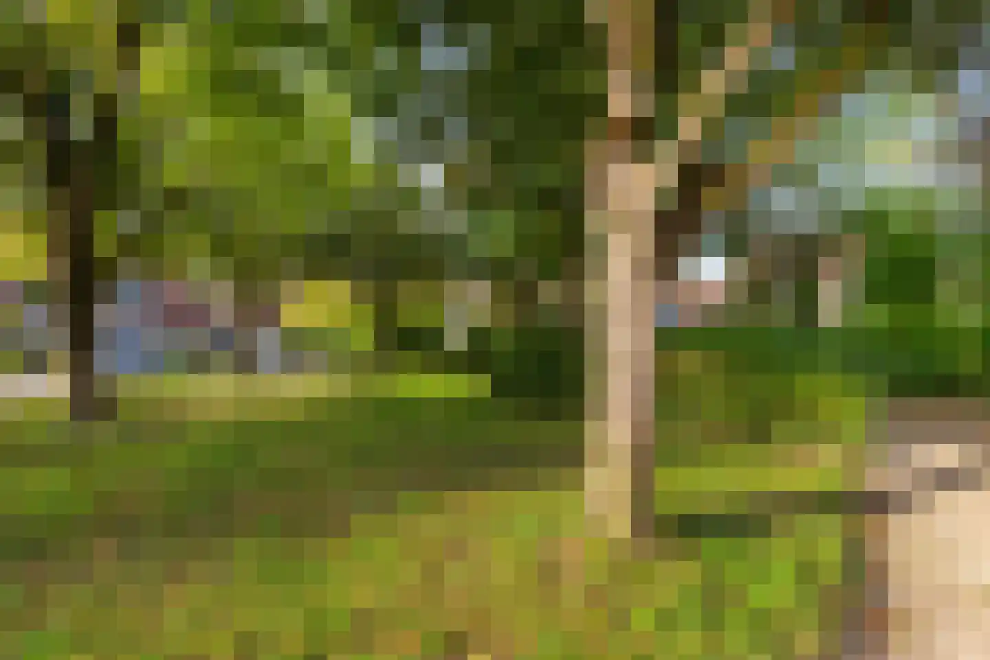 Jensemaheerd 104 Groningen thumbnail 42