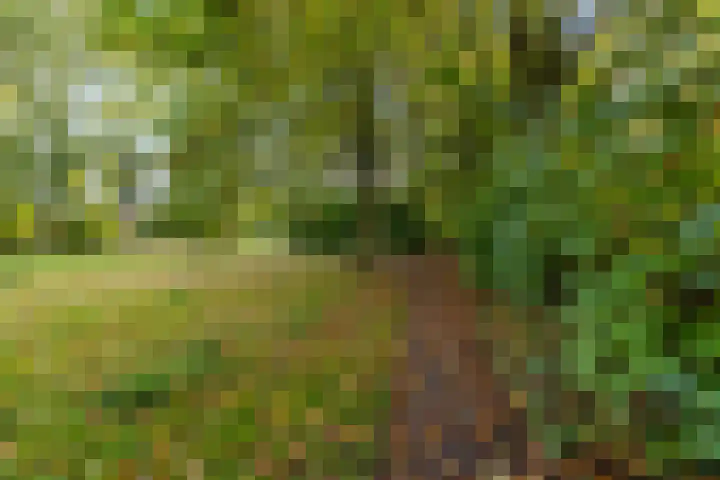 Jensemaheerd 104 Groningen thumbnail 44