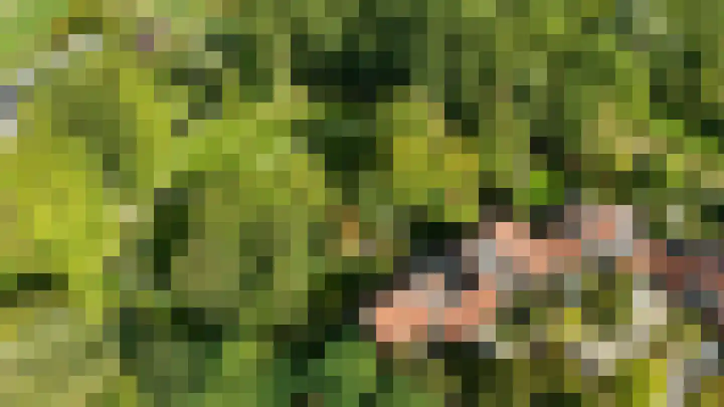 Jensemaheerd 104 Groningen thumbnail 45