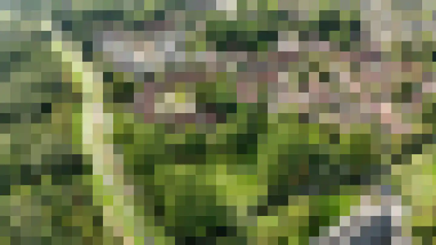 Jensemaheerd 104 Groningen thumbnail 46