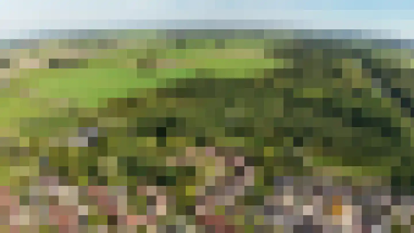 Jensemaheerd 104 Groningen thumbnail 47