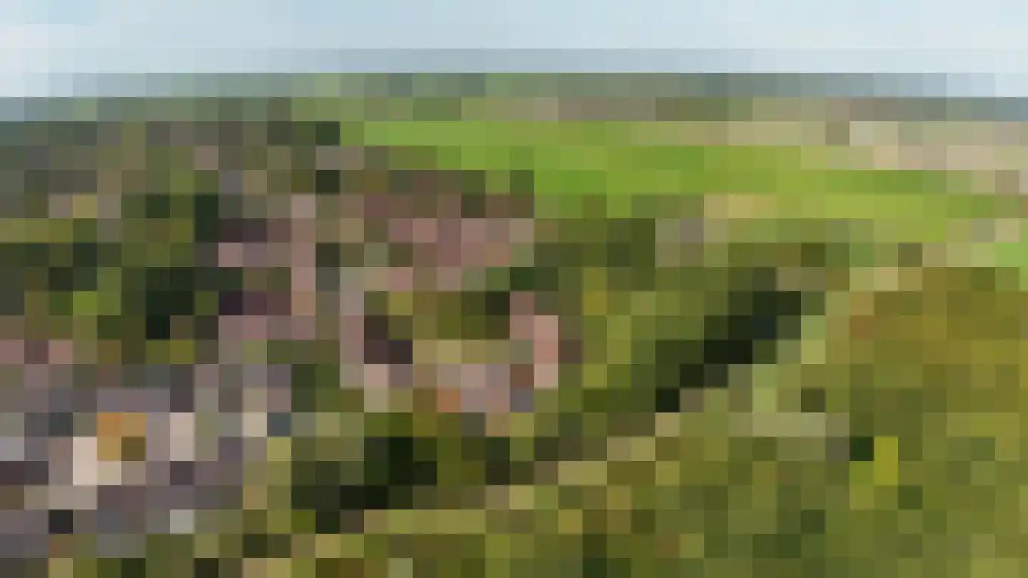 Jensemaheerd 104 Groningen thumbnail 48