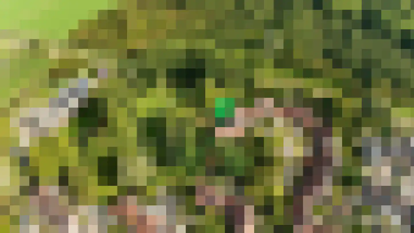 Jensemaheerd 104 Groningen thumbnail 5