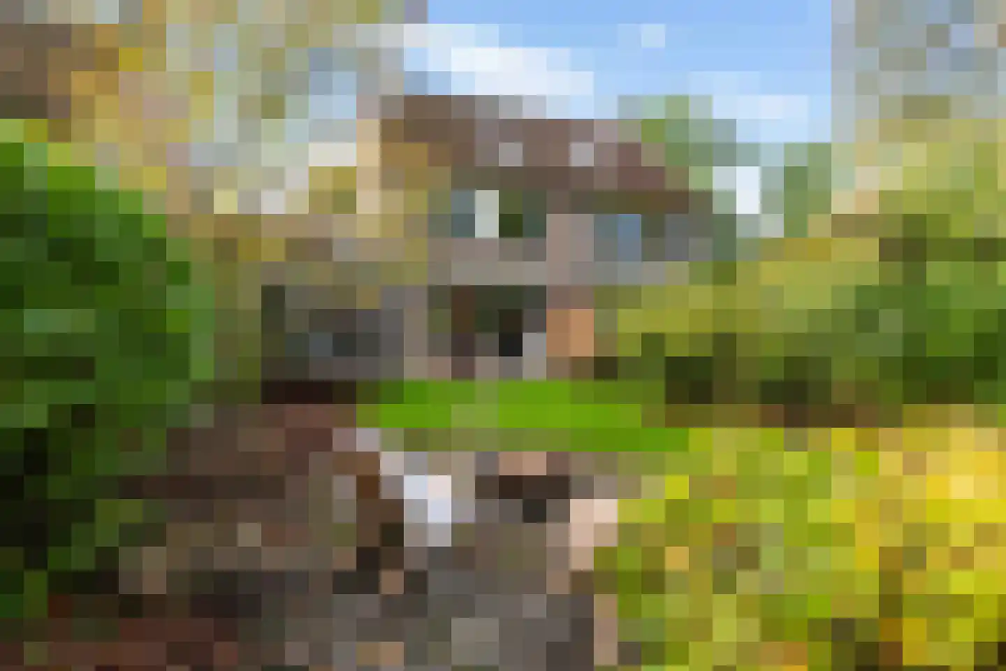 Jensemaheerd 104 Groningen thumbnail 6