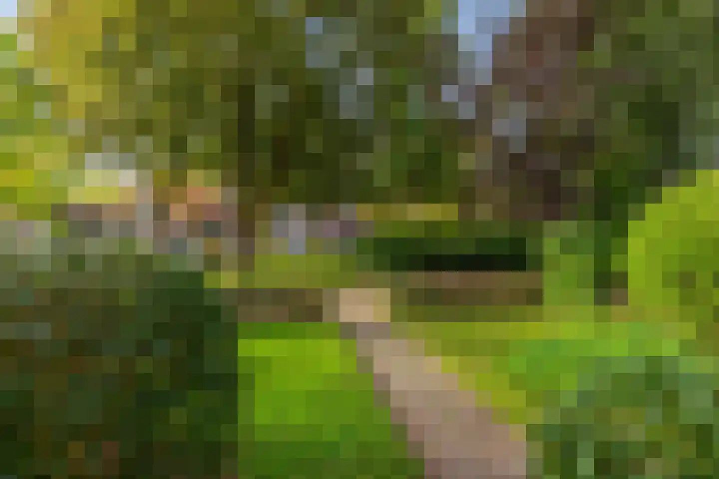 Jensemaheerd 104 Groningen thumbnail 8