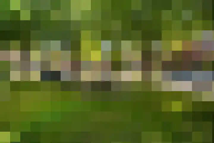 Jensemaheerd 107 Groningen thumbnail 11