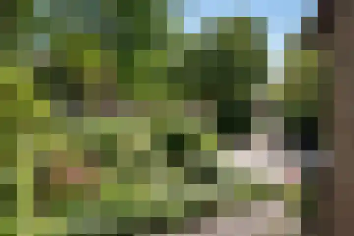 Jensemaheerd 107 Groningen thumbnail 12