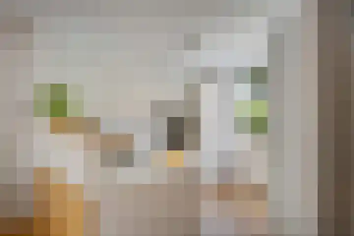 Jensemaheerd 107 Groningen thumbnail 23