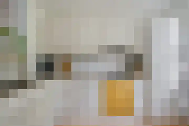 Jensemaheerd 107 Groningen thumbnail 25