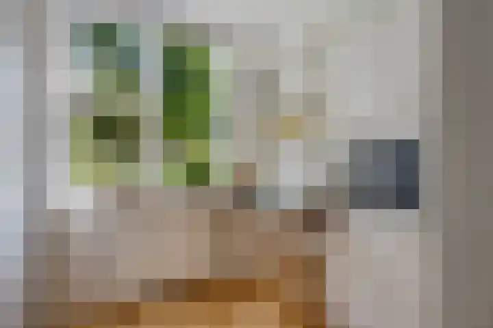 Jensemaheerd 107 Groningen thumbnail 26