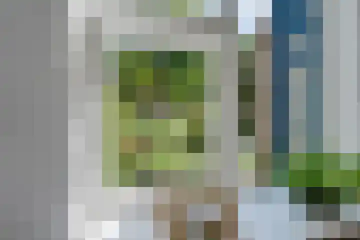 Jensemaheerd 107 Groningen thumbnail 27