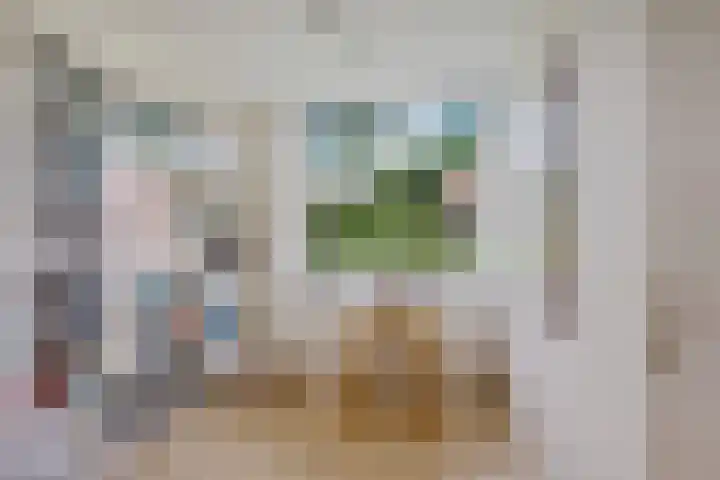 Jensemaheerd 107 Groningen thumbnail 34
