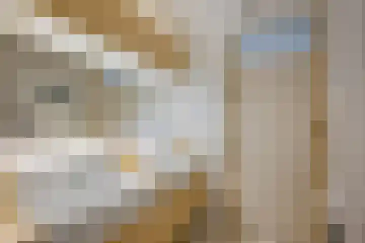 Jensemaheerd 107 Groningen thumbnail 37