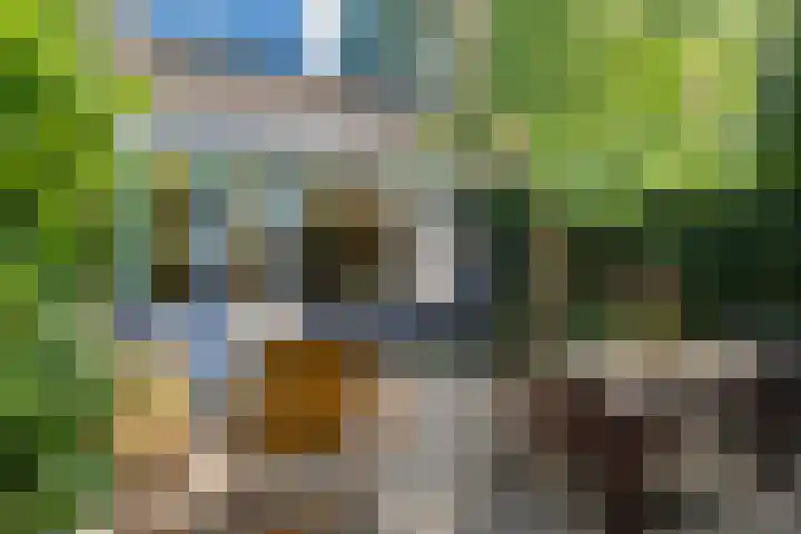 Jensemaheerd 107 Groningen thumbnail 44