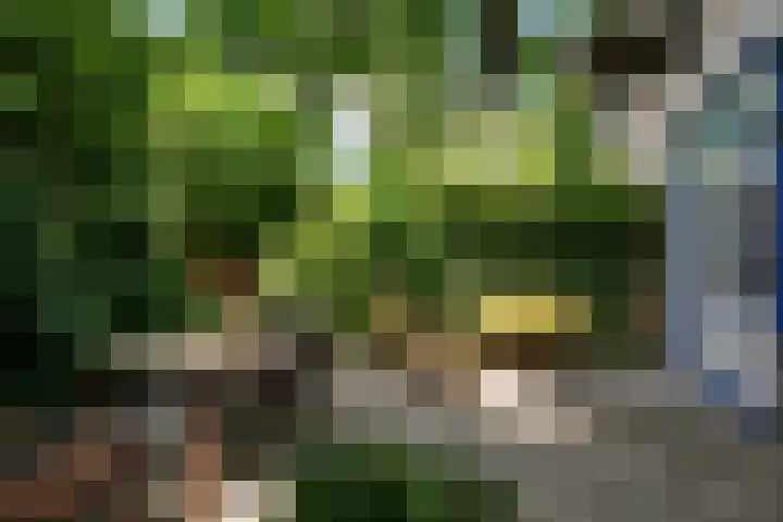Jensemaheerd 107 Groningen thumbnail 45