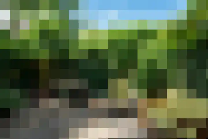 Jensemaheerd 107 Groningen thumbnail 46