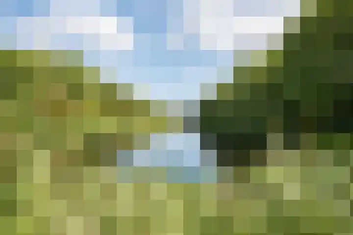 Jensemaheerd 107 Groningen thumbnail 47