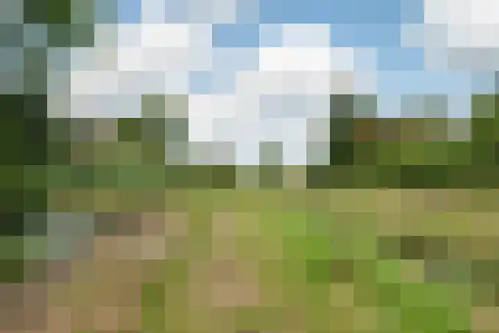 Jensemaheerd 107 Groningen thumbnail 48