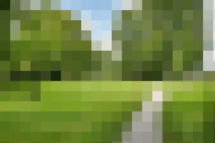 Jensemaheerd 107 Groningen thumbnail 49