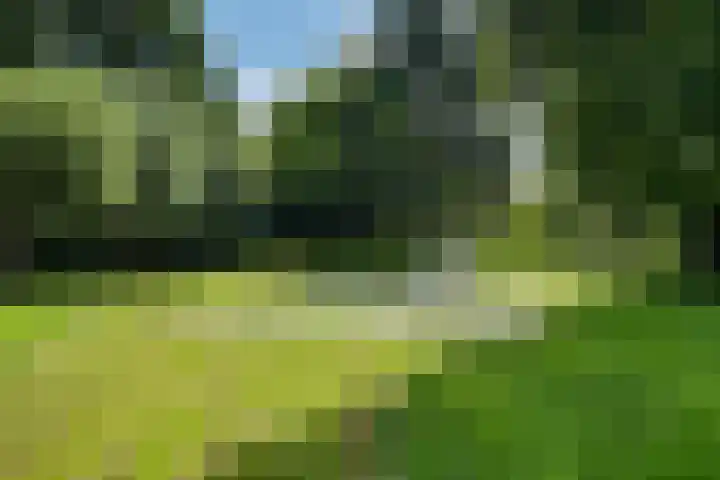 Jensemaheerd 107 Groningen thumbnail 50