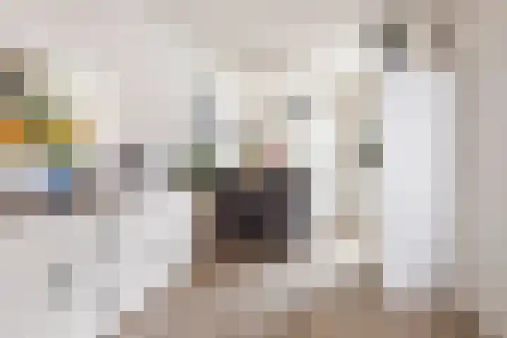 Jensemaheerd 122 Groningen thumbnail 12