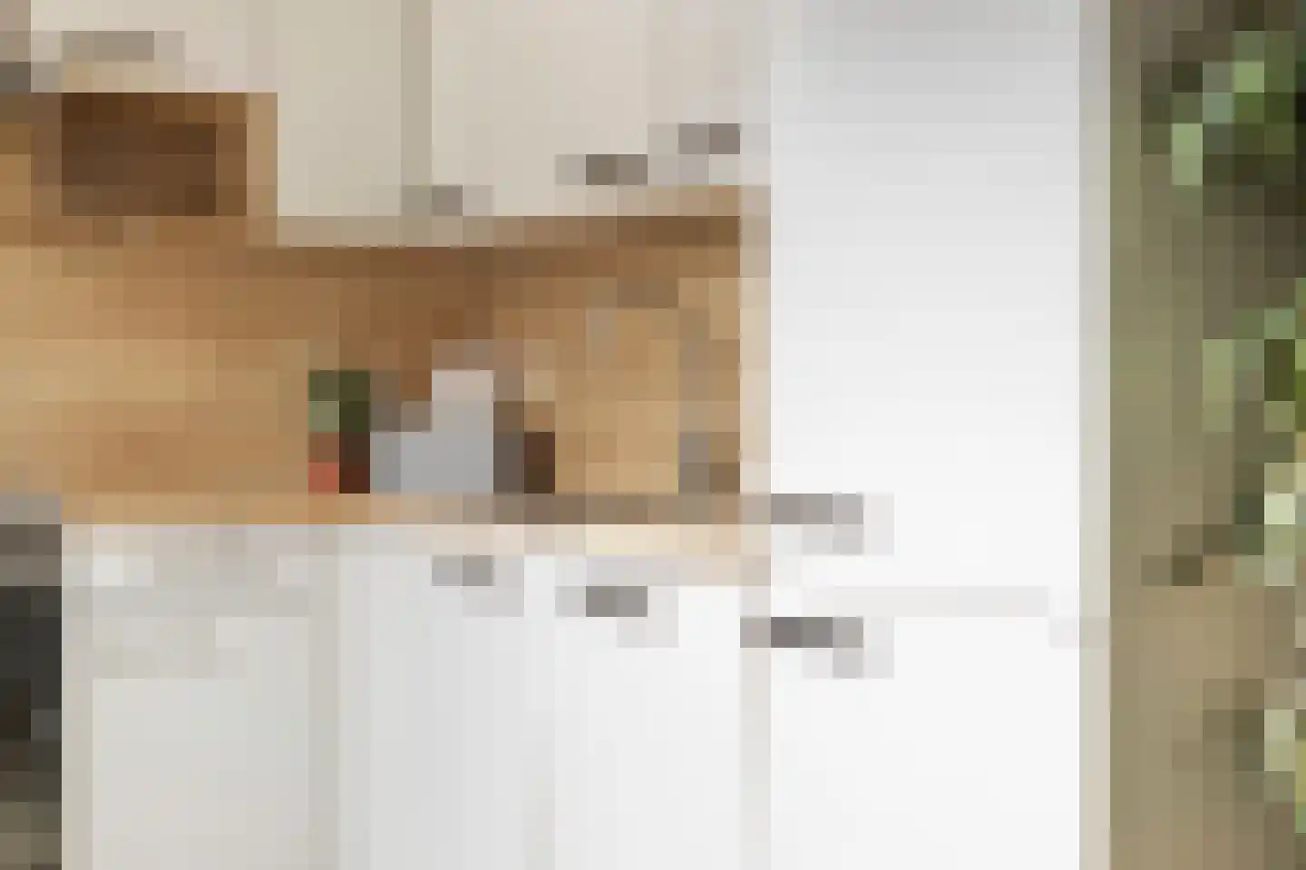 Jensemaheerd 122 Groningen thumbnail 15