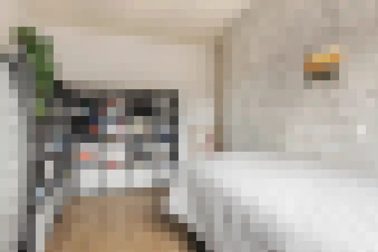 Jensemaheerd 122 Groningen thumbnail 20
