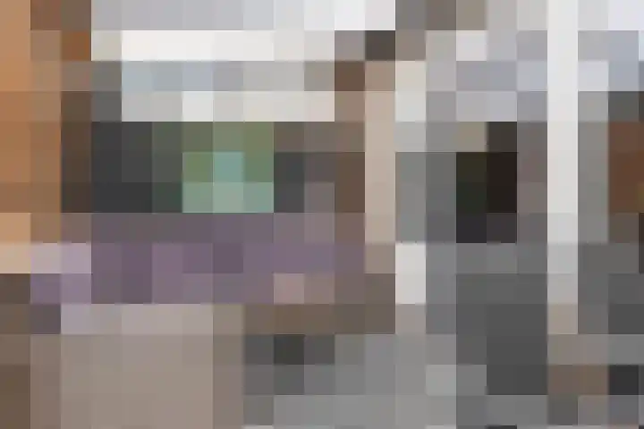 Jensemaheerd 122 Groningen thumbnail 30