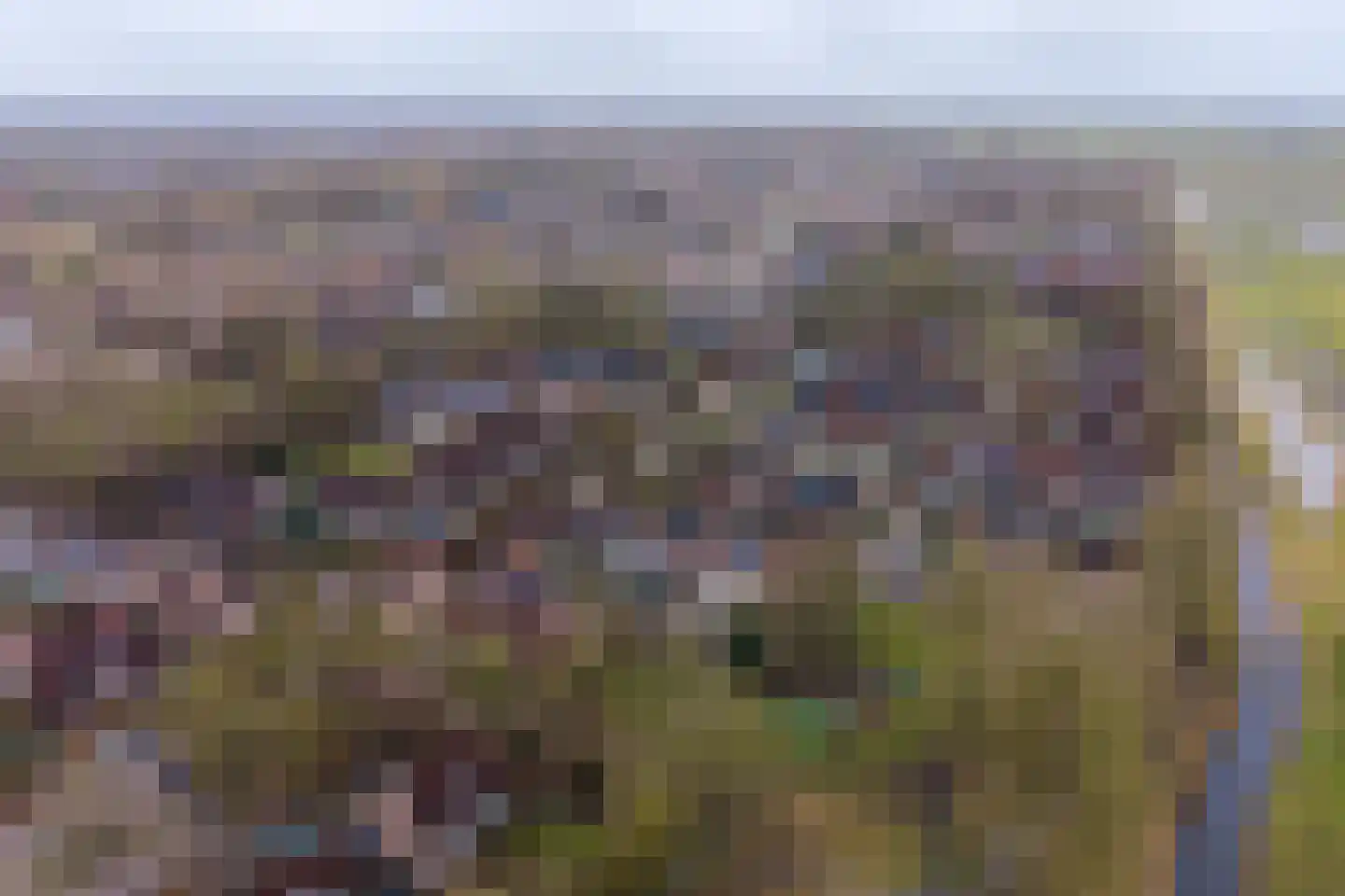 Jensemaheerd 122 Groningen thumbnail 36