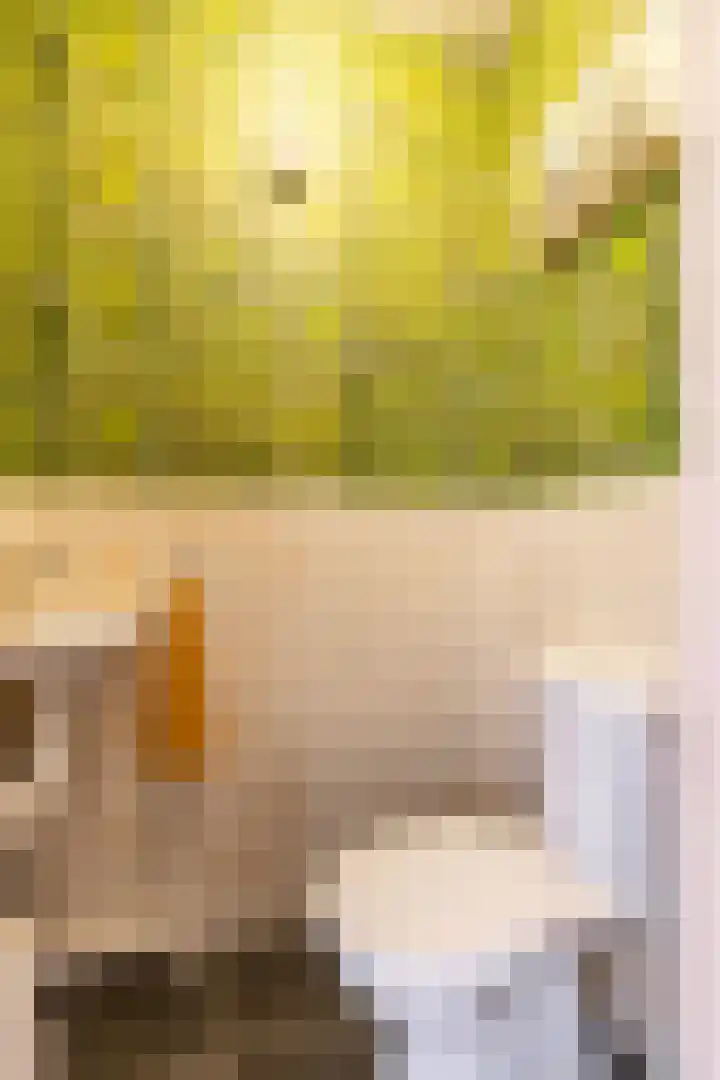 Jensemaheerd 158 Groningen thumbnail 26