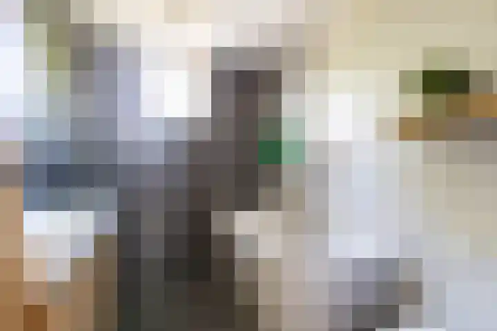 Jensemaheerd 158 Groningen thumbnail 34
