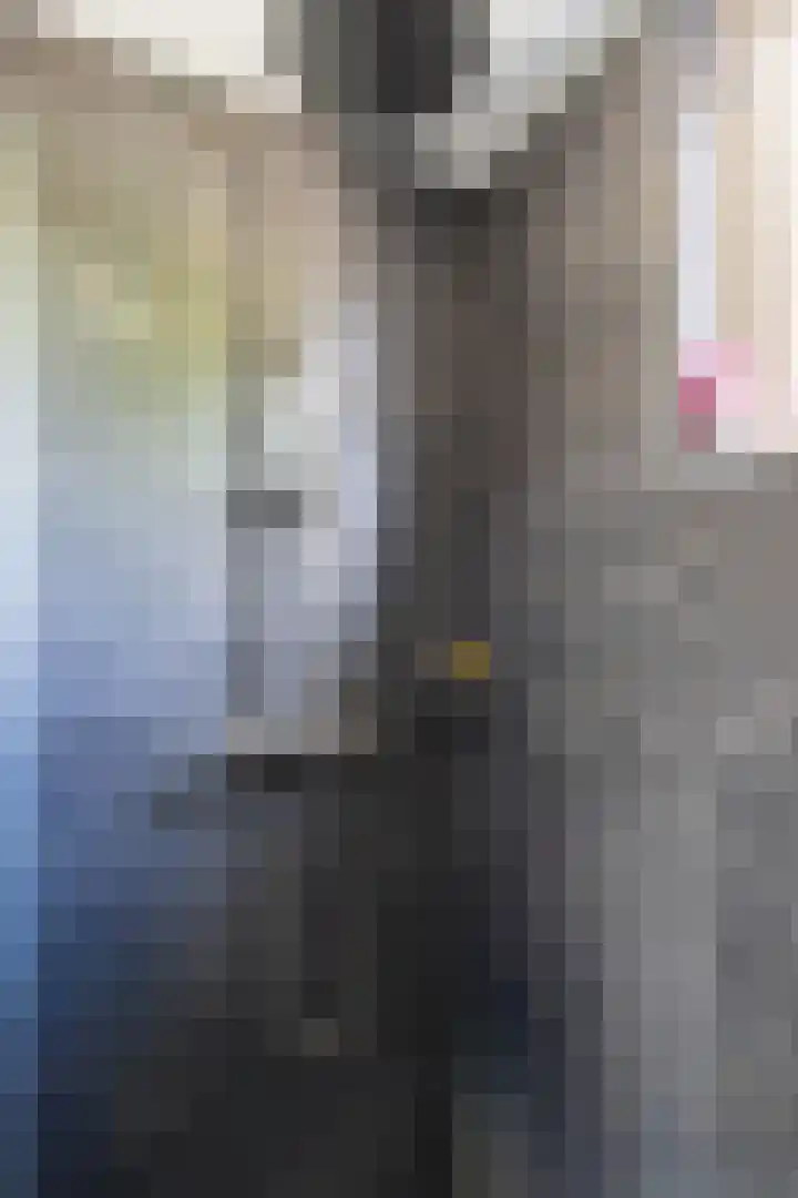 Jensemaheerd 158 Groningen thumbnail 36