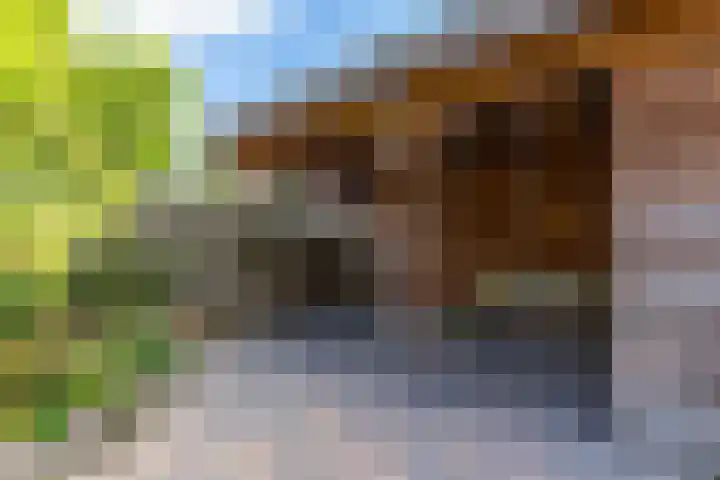 Jensemaheerd 158 Groningen thumbnail 45