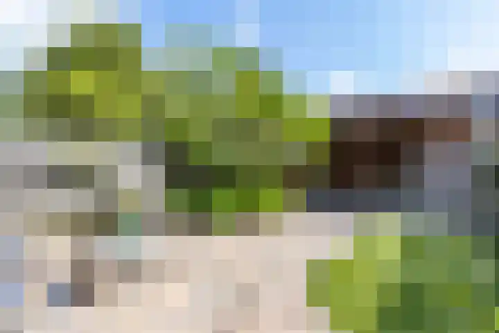 Jensemaheerd 158 Groningen thumbnail 46
