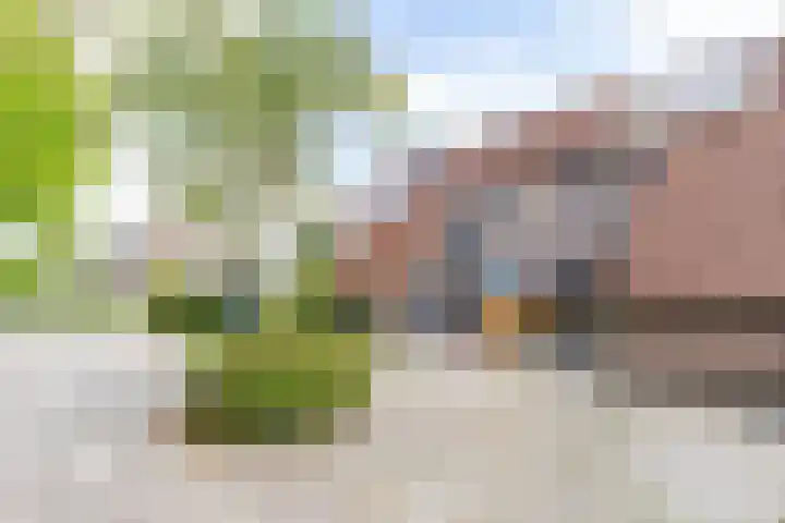 Jensemaheerd 158 Groningen thumbnail 8