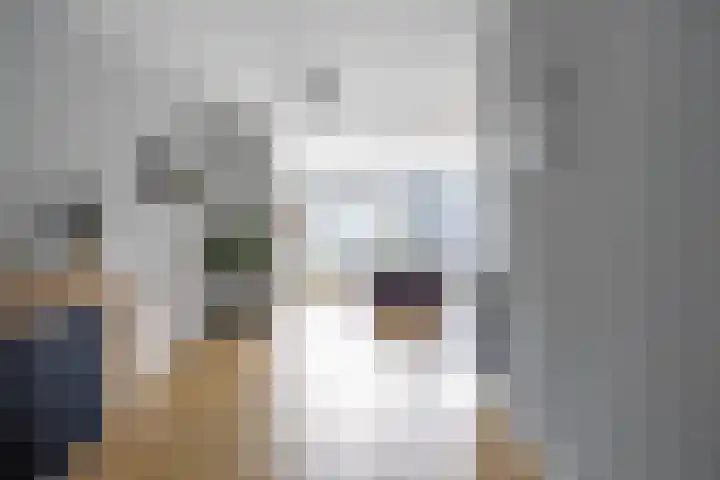 Jensemaheerd 84 Groningen thumbnail 13