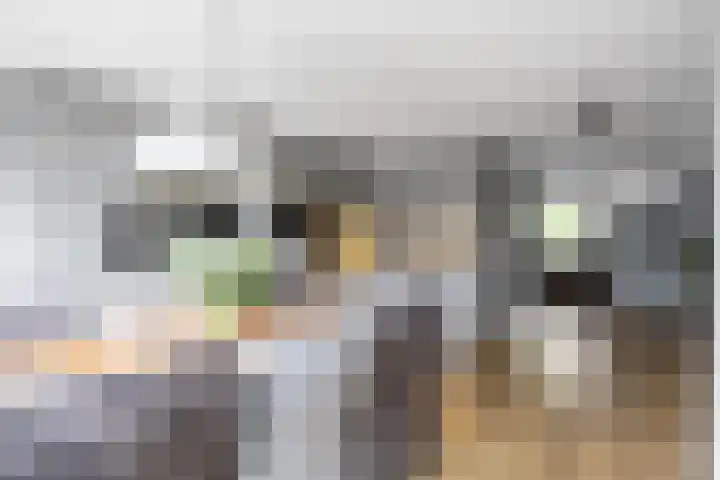 Jensemaheerd 84 Groningen thumbnail 15