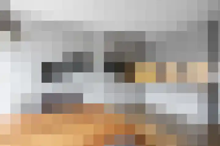 Jensemaheerd 84 Groningen thumbnail 16