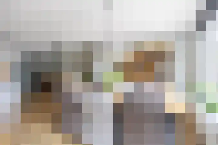 Jensemaheerd 84 Groningen thumbnail 17